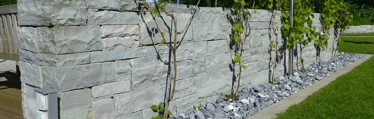 Gartenbau__29_.JPG (240'618 bytes)